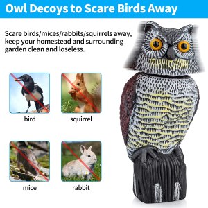 Owl Decoys to Scare Birds Squirrels Away