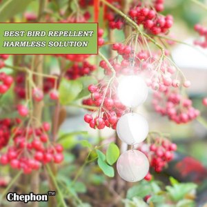 Chephon Upgraded Bird Scare Discs Set